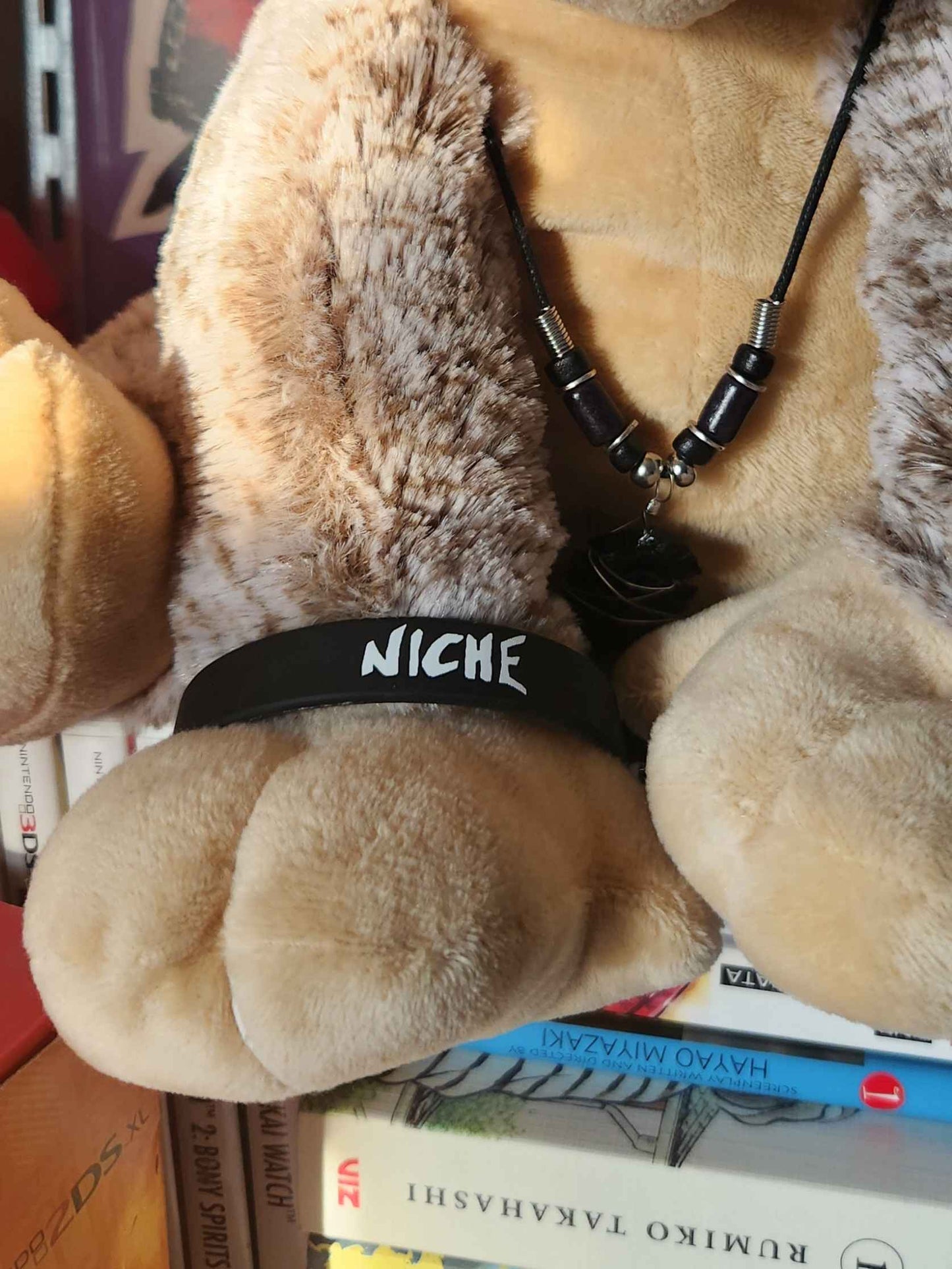 NICHE UNIVERSITY SHIRT