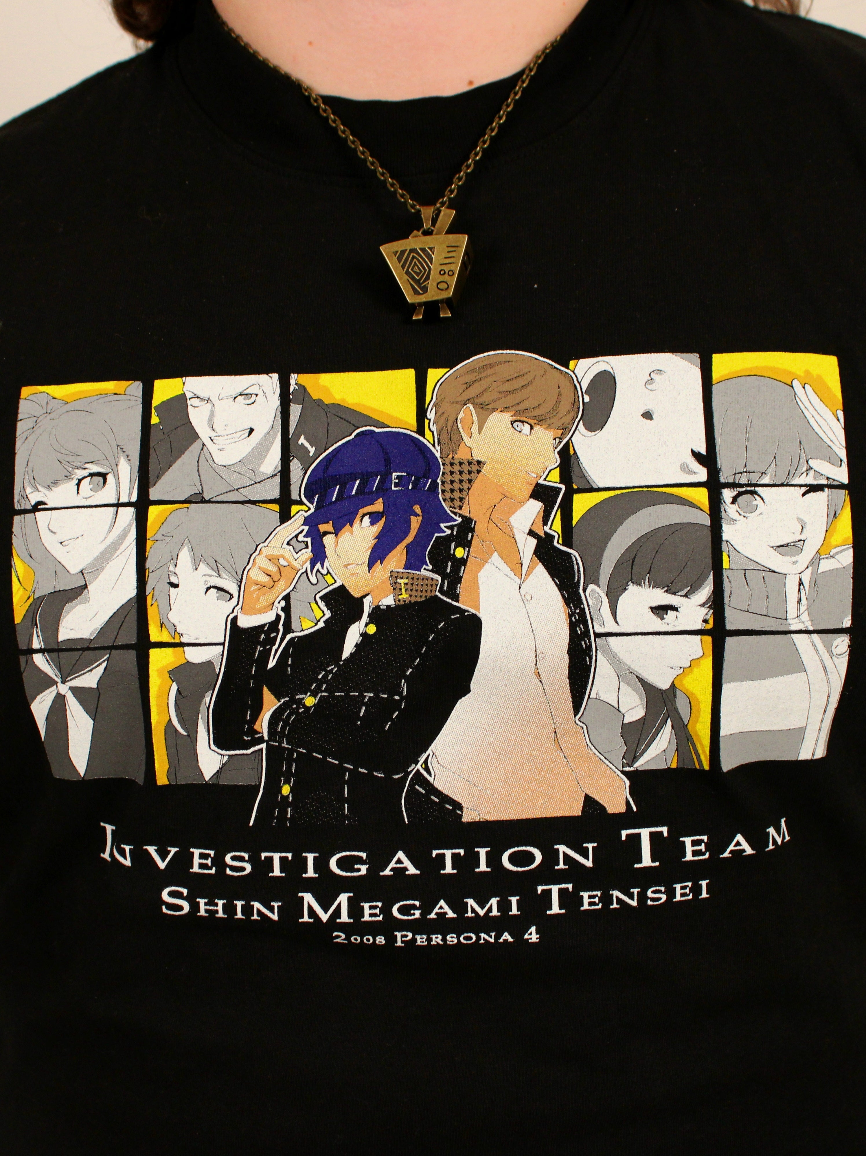 INVESTIGATION TEAM